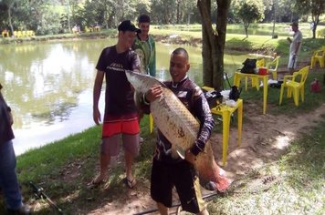 Foto - Alimentação